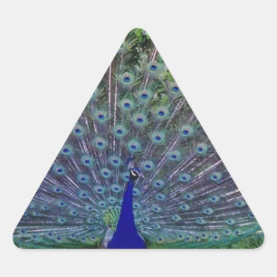 Colourful Pattern Bird Peacock Art Indian Destiny Triangle Sticker