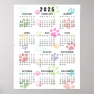 Colourful Paw Prints 2025 Wall Calendar
