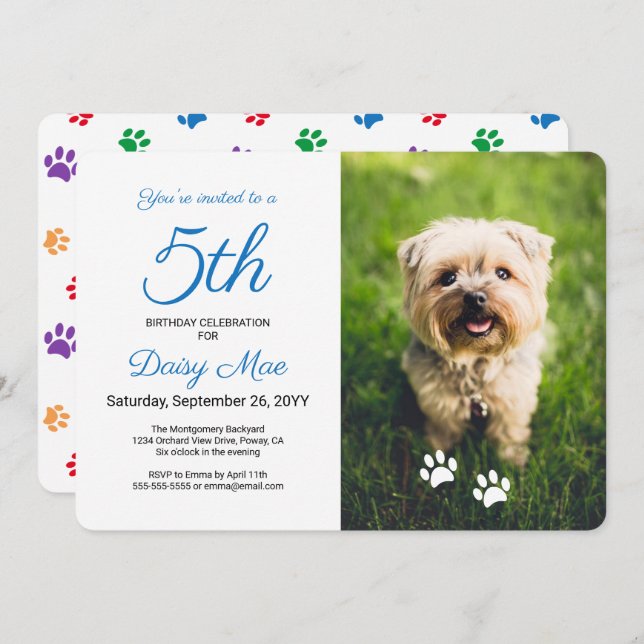Colourful Paw Prints Blue Pet Birthday Photo Invitation (Front/Back)