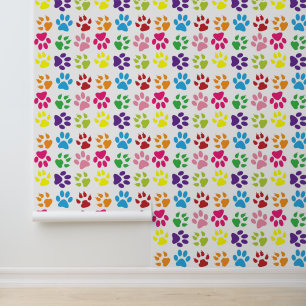 Colourful Paws, Dog Paws, Cat Paws Wallpaper