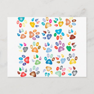 Colourful Paws Postcard