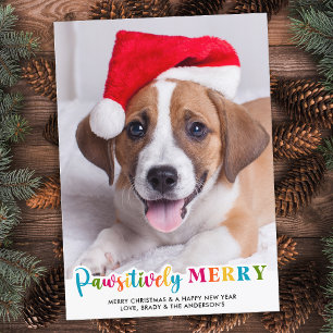 Colourful Pawsitively Merry Custom Pet Dog Photo Holiday Card