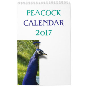 Colourful Peacock 2017 Calendar