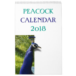 Colourful Peacock 2017 Calendar