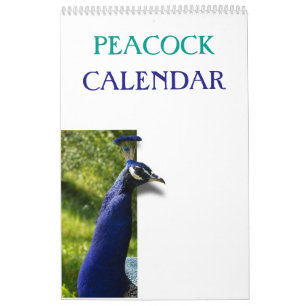 Colourful Peacock 2026 Calendar