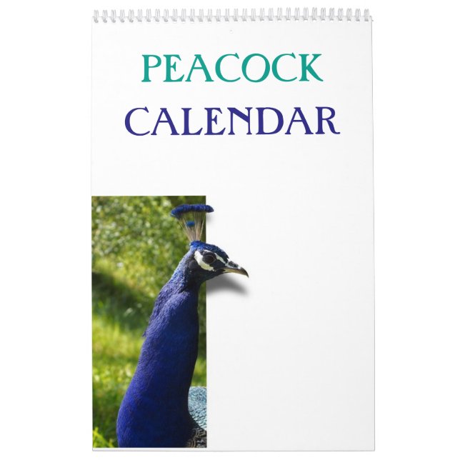 Colourful Peacock 2026 Calendar (Cover)