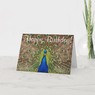 Colourful peacock birthday greeting card