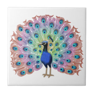 Colourful Peacock Ceramic Tile