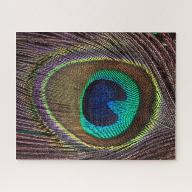 Colourful Peacock Feather | Custom Jigsaw Puzzle (Horizontal)