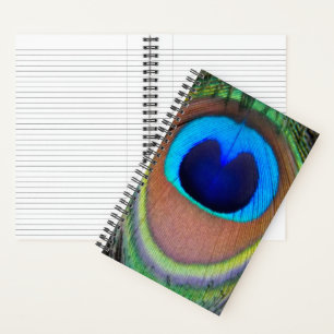 Colourful Peacock Feather Eyespot Notebook