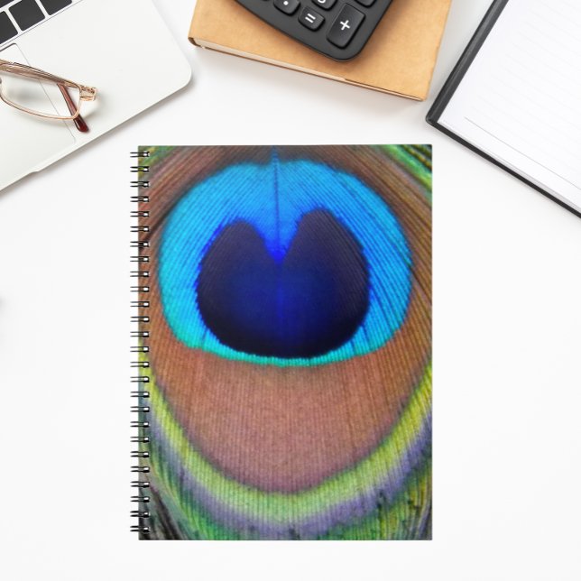 Colourful Peacock Feather Eyespot Notebook (In Situ)