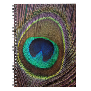 Colourful Peacock Feather Personalised Notebook