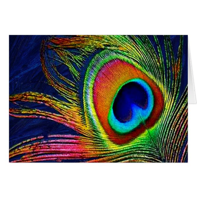 Colourful Peacock Feather Print (Front Horizontal)