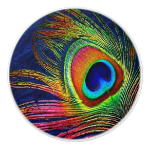 Colourful Peacock Feather Print Ceramic Knob