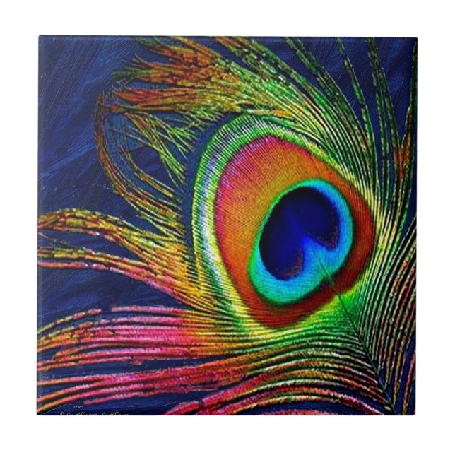 Colourful Peacock Feather Print Ceramic Tile (Front)