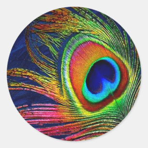 Colourful Peacock Feather Print Classic Round Sticker