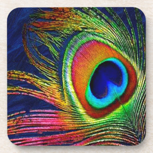 Colourful Peacock Feather Print Coaster