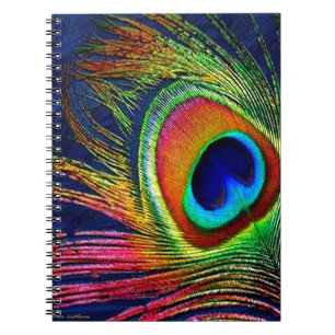 Colourful Peacock Feather Print Notebook