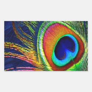 Colourful Peacock Feather Print Rectangular Sticker
