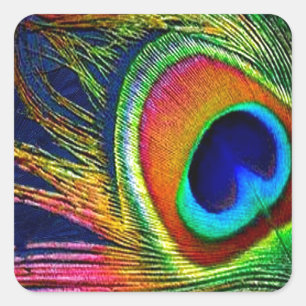 Colourful Peacock Feather Print Square Sticker