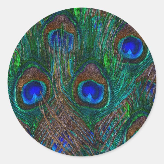 Colourful Peacock Feathers Etching Style Classic Round Sticker (Front)