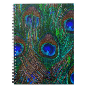 Colourful Peacock Feathers Etching Style Notebook