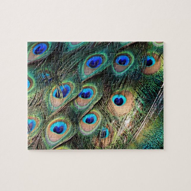 Colourful Peacock Feathers Jigsaw Puzzle (Horizontal)