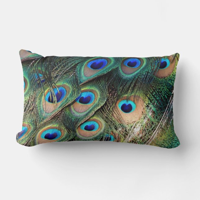 Colourful Peacock Feathers Lumbar Cushion (Front)