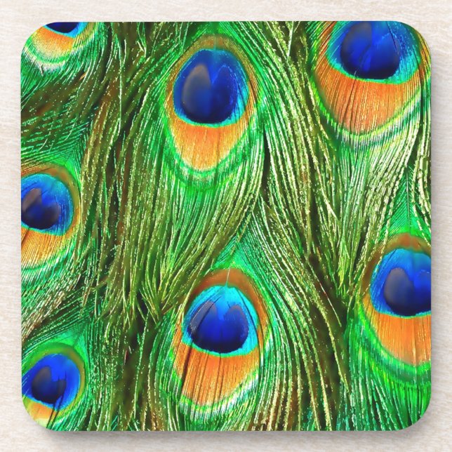 Colourful Peacock Feathers Print Coaster (Front)