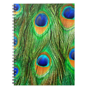 Colourful Peacock Feathers Print Notebook