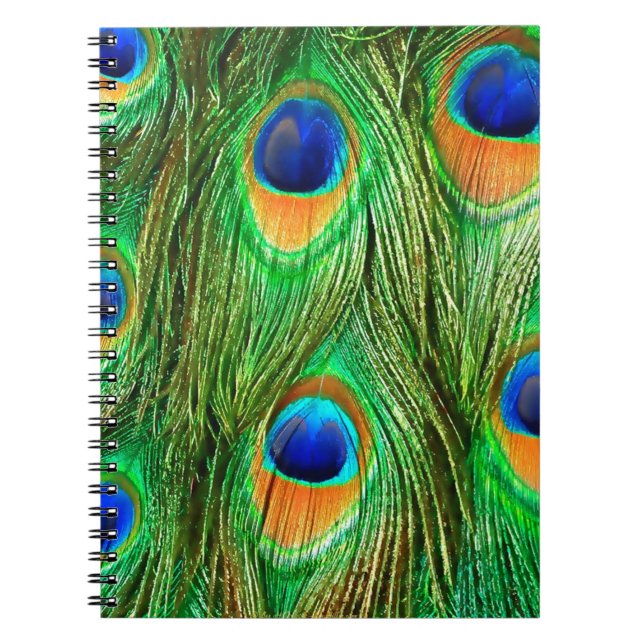 Colourful Peacock Feathers Print Notebook (Front)