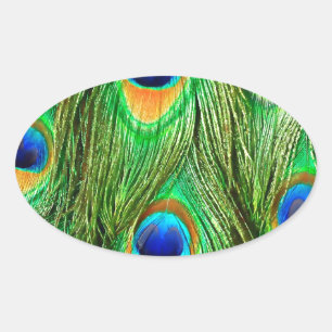 Colourful Peacock Feathers Print Oval Sticker