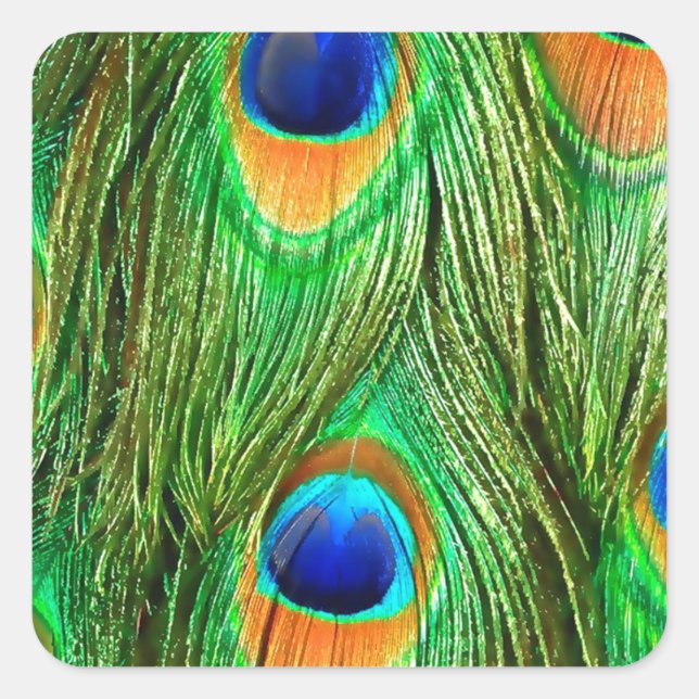 Colourful Peacock Feathers Print Square Sticker (Front)