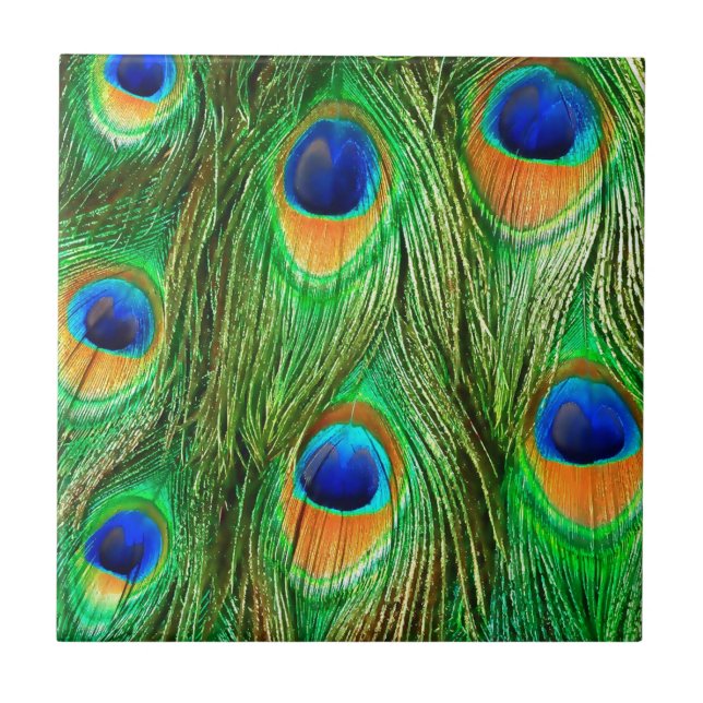 Colourful Peacock Feathers Print Tile (Front)