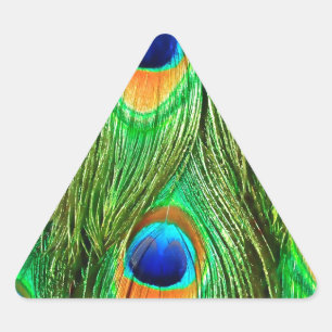 Colourful Peacock Feathers Print Triangle Sticker