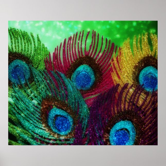 Colourful Peacock Poster (Front)