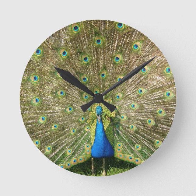 Colourful Peacock Wall Clock (Front)