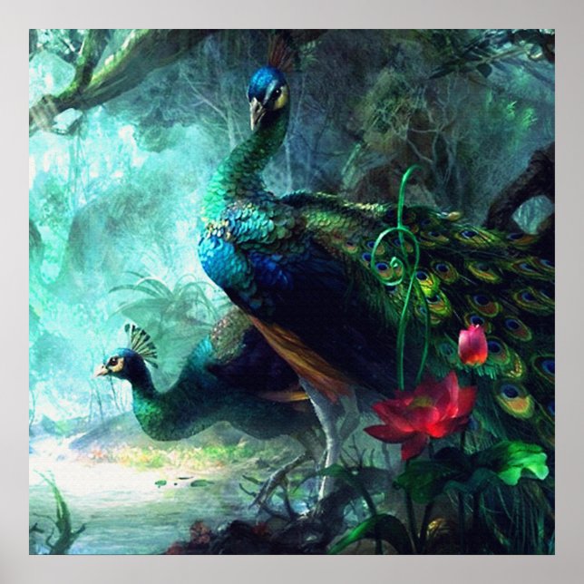 Colourful peacocks in misty forest Poster (Front)