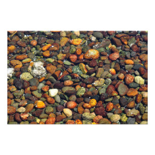 Colourful Pebbles on Hood Canal Photo Print