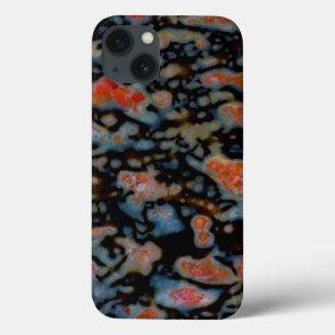 Colourful Petrified Dinosaur Bone iPhone 13 Case