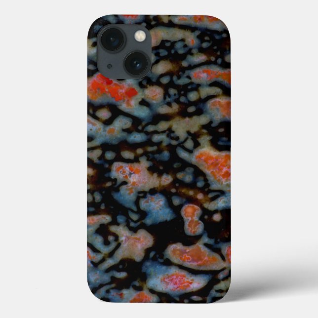 Colourful Petrified Dinosaur Bone Case-Mate iPhone Case (Back)