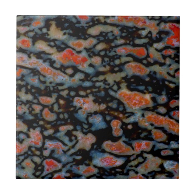 Colourful Petrified Dinosaur Bone Ceramic Tile (Front)