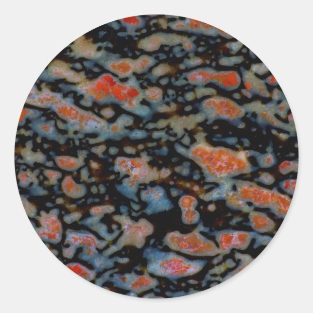 Colourful Petrified Dinosaur Bone Classic Round Sticker (Front)