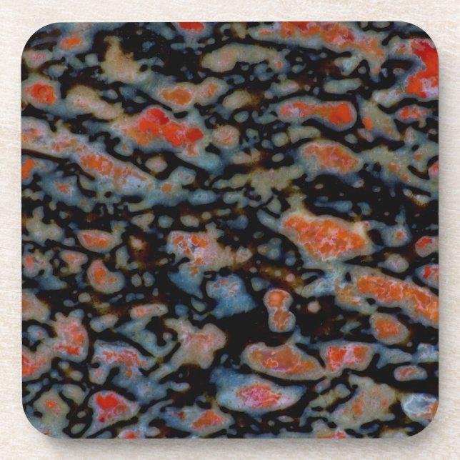 Colourful Petrified Dinosaur Bone Coaster (Front)