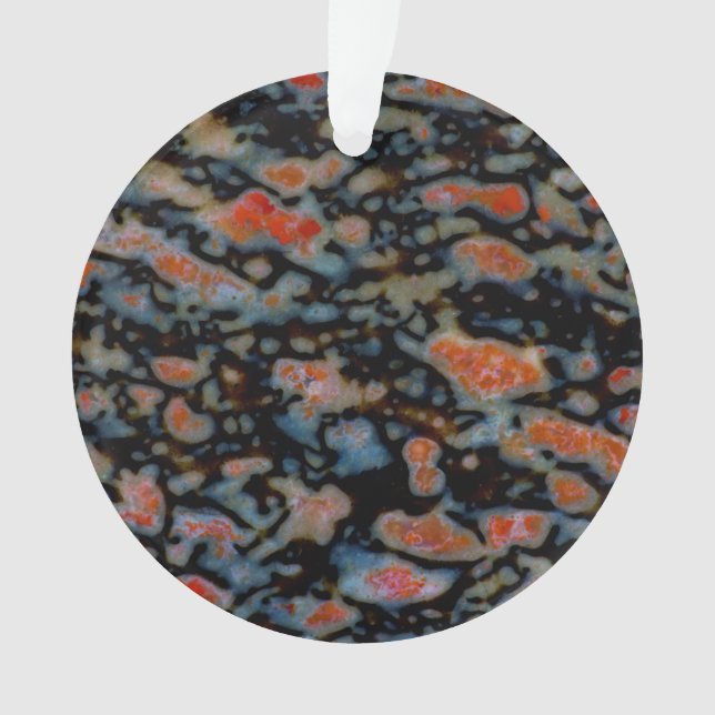 Colourful Petrified Dinosaur Bone Ornament (Front)