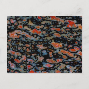 Colourful Petrified Dinosaur Bone Postcard