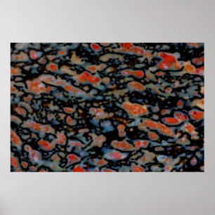 Colourful Petrified Dinosaur Bone Poster