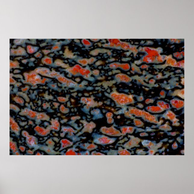 Colourful Petrified Dinosaur Bone Poster (Front)