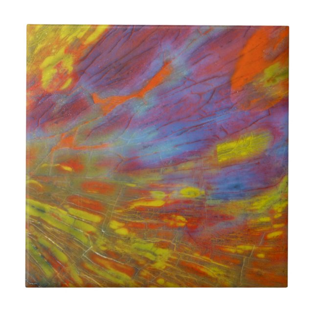 Colourful Petrified Wood close-up Ceramic Tile (Front)