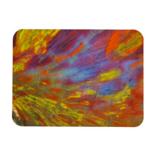 Colourful Petrified Wood close-up Magnet